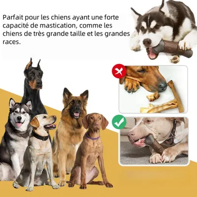 Zoomtopia Jouet pour chien avec son de branche