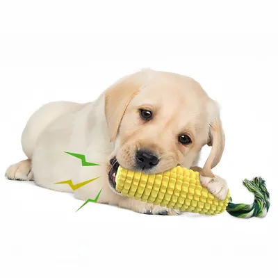 Zoomtopia Jouet couineur pour chien en forme de maïs