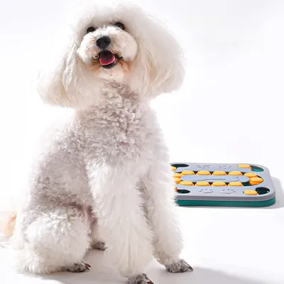 Zoomtopia Jouet mangeoire lente pour chien et chat