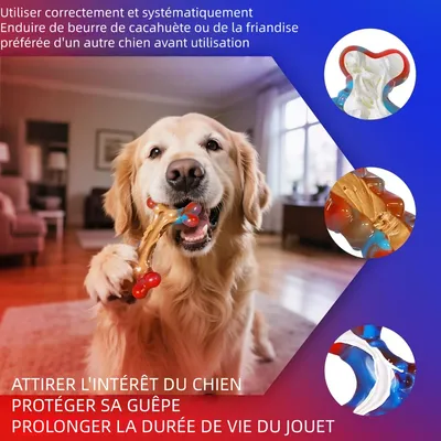 Zoomtopia Jouets en os pour chien