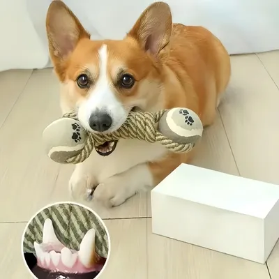 Zoomtopia Jouet interactif en corde pour chien