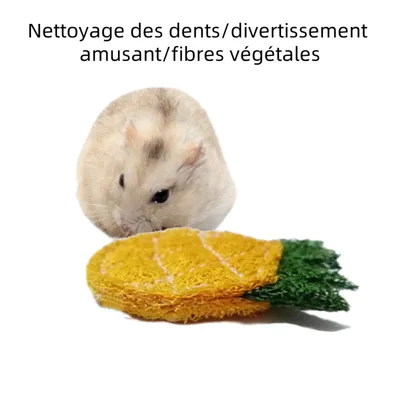 Zoomtopia Jouets à mâcher pour rongeurs