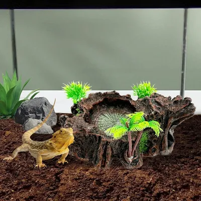 Zoomtopia Décoration d'aquarium pour reptiles