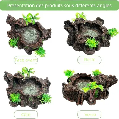 Zoomtopia Décoration d'aquarium pour reptiles