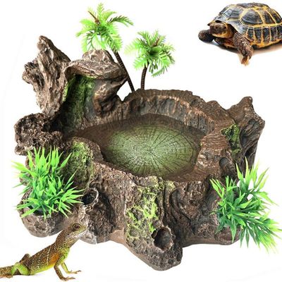 Zoomtopia Décoration d'aquarium pour reptiles