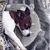 Zoomtopia Coussin apaisant en forme de lune pour chats et chiens