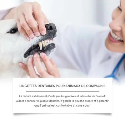 Zoomtopia Lingettes dentaires pour animaux 50 comprimés