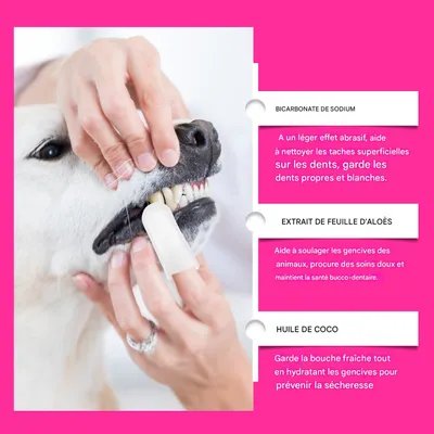 Zoomtopia Lingettes dentaires pour animaux 50 comprimés