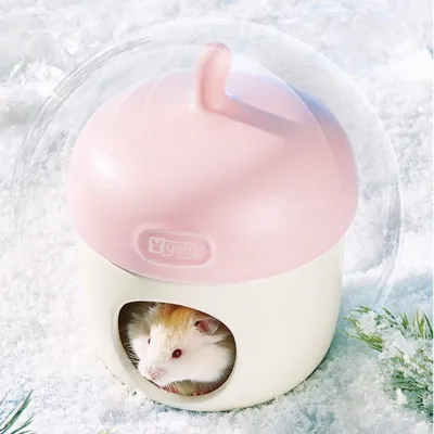 Zoomtopia Nid en céramique pour petits animaux en forme de gland