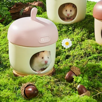 Zoomtopia Nid en céramique pour petits animaux en forme de gland