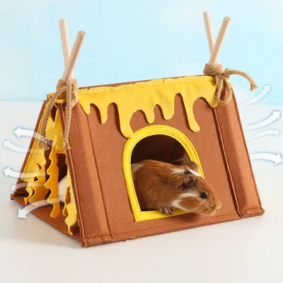 Zoomtopia Cachettes pour petits animaux