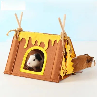 Zoomtopia Cachettes pour petits animaux