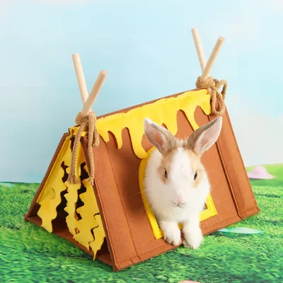 Zoomtopia Cachettes pour petits animaux