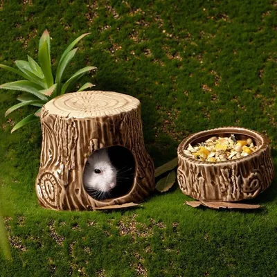 Zoomtopia Nid en céramique pour petits animaux en forme de souche d'arbre