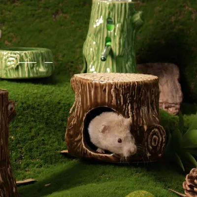 Zoomtopia Nid en céramique pour petits animaux en forme de souche d'arbre
