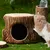 Zoomtopia Nid en céramique pour petits animaux en forme de souche d'arbre
