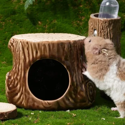 Zoomtopia Nid en céramique pour petits animaux en forme de souche d'arbre