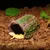 Zoomtopia Cachette en résine pour reptiles