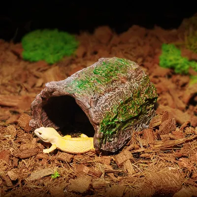 Zoomtopia Cachette en résine pour reptiles