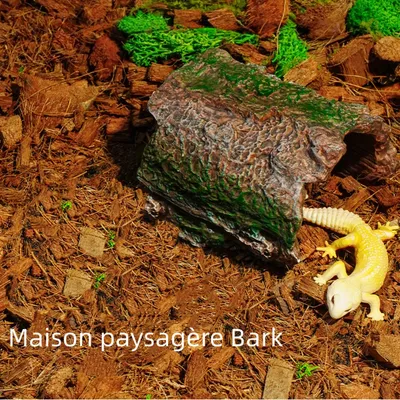 Zoomtopia Cachette en résine pour reptiles