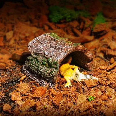 Zoomtopia Cachette en résine pour reptiles