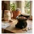 Gamelle pour chat nourriture et eau Dobby Gamelle pour chat nourriture et eau Dobby