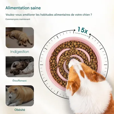 Zoomtopia Gamelle à Alimentation Lente en Céramique pour Chats et Chiens