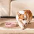Zoomtopia Gamelle à Alimentation Lente en Céramique pour Chats et Chiens