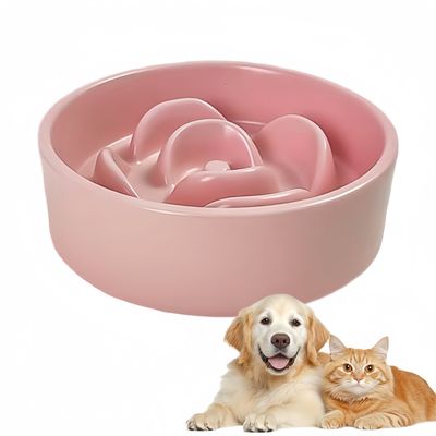 Zoomtopia Gamelle à Alimentation Lente en Céramique pour Chats et Chiens