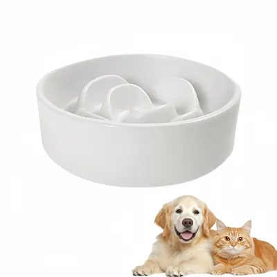 Zoomtopia Gamelle à Alimentation Lente en Céramique pour Chats et Chiens