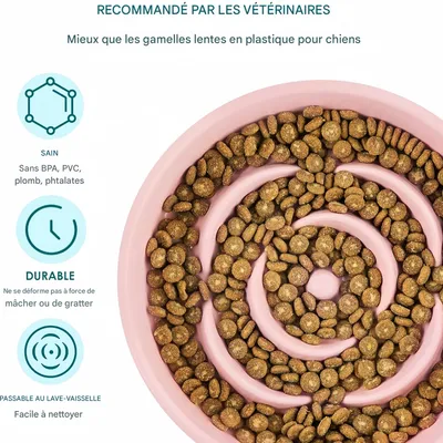 Zoomtopia Gamelle à Alimentation Lente en Céramique pour Chats et Chiens