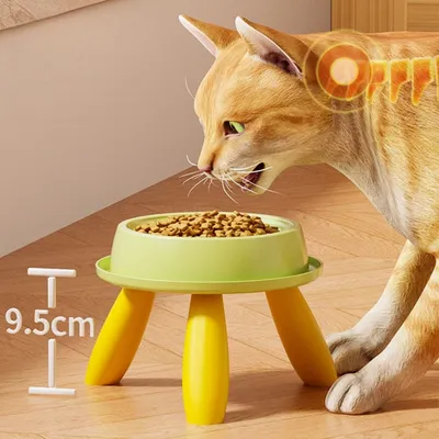 Zoomtopia Bol Surélevé pour Chats et Chiens Jaune verdâtre