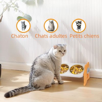 Zoomtopia Gamelles surélevées pour chats et chiens