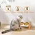 Zoomtopia Gamelles surélevées pour chats et chiens