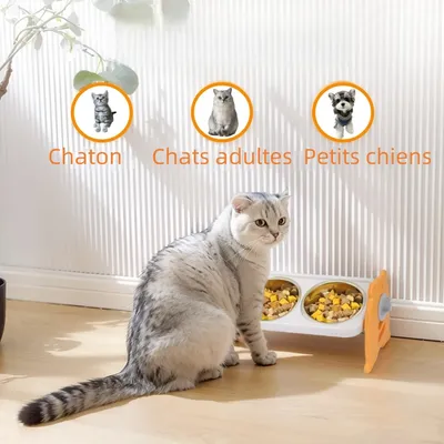 Zoomtopia Gamelles surélevées pour chats et chiens