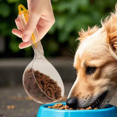 Zoomtopia Pelle à nourriture pour chien et chat 200ml