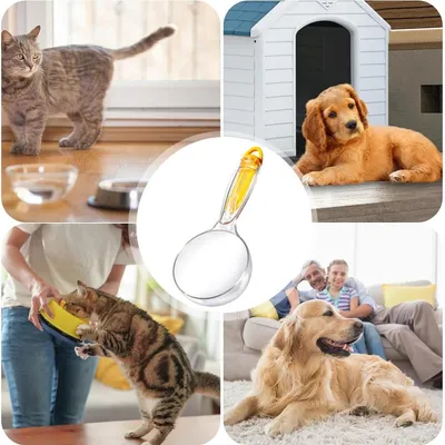 Zoomtopia Pelle à nourriture pour chien et chat 200ml