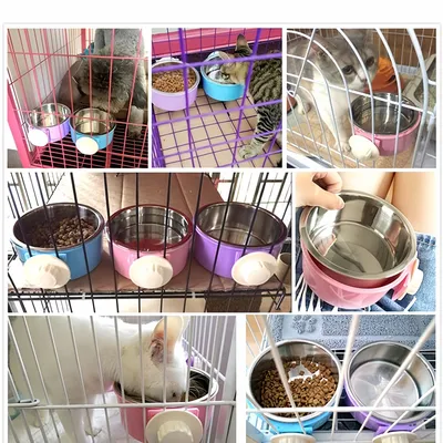 Zoomtopia Gamelle amovible en acier inoxydable pour petits animaux