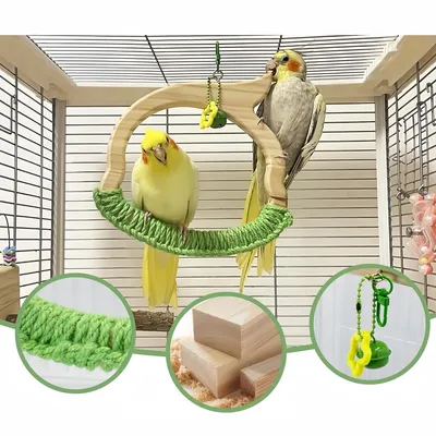 Zoomtopia Balançoire Anneau en Bois Naturel pour les Oiseaux