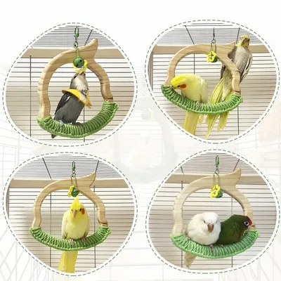 Zoomtopia Balançoire Anneau en Bois Naturel pour les Oiseaux