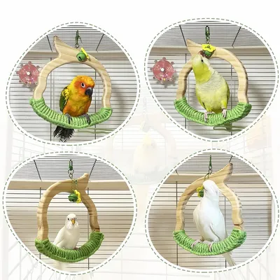 Zoomtopia Balançoire Anneau en Bois Naturel pour les Oiseaux