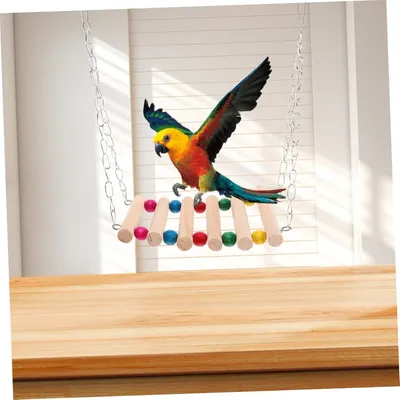 Zoomtopia Balançoire pour perroquets