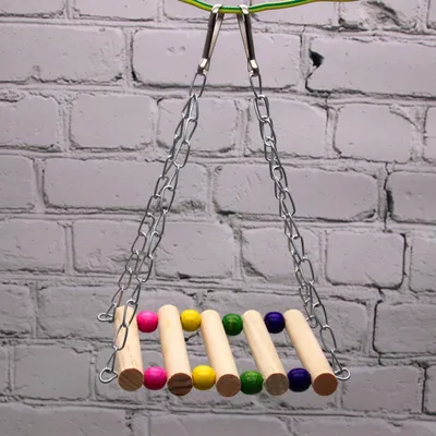 Zoomtopia Balançoire pour perroquets