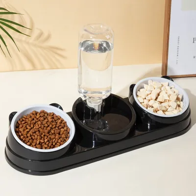 Zoomtopia Ensemble de gamelles d'eau et de nourriture pour chat 3 en 1