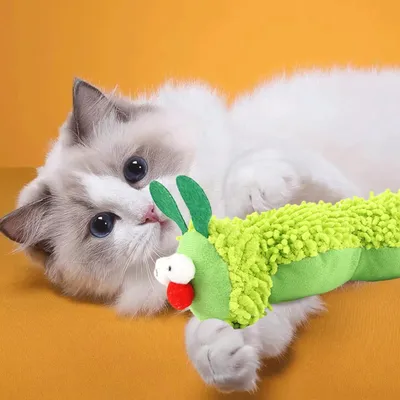 Zoomtopia Jouet pour chat chenille