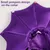 Zoomtopia Cape d'Halloween pour chien et chat Zoomtopia Cape d'Halloween pour chien et chat