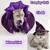 Zoomtopia Cape d'Halloween pour chien et chat Zoomtopia Cape d'Halloween pour chien et chat