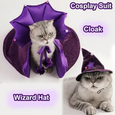 Zoomtopia Cape d'Halloween pour chien et chat Zoomtopia Cape d'Halloween pour chien et chat
