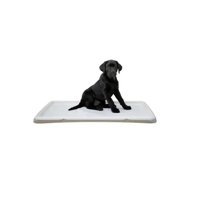 Kerbl Welpentoilette XL (L x B x H 90 x 60 x 4 cm, leichte Reinigung) Kerbl Welpentoilette XL (L x B x H 90 x 60 x 4 cm, leichte Reinigung)