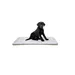 Kerbl Welpentoilette XL (L x B x H 90 x 60 x 4 cm, leichte Reinigung)